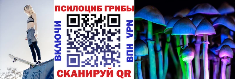 закладки  гидра как зайти  Галлюциногенные грибы мицелий  Морозовск 
