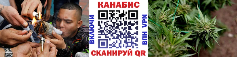 Бошки Шишки марихуана  darknet состав  Морозовск 